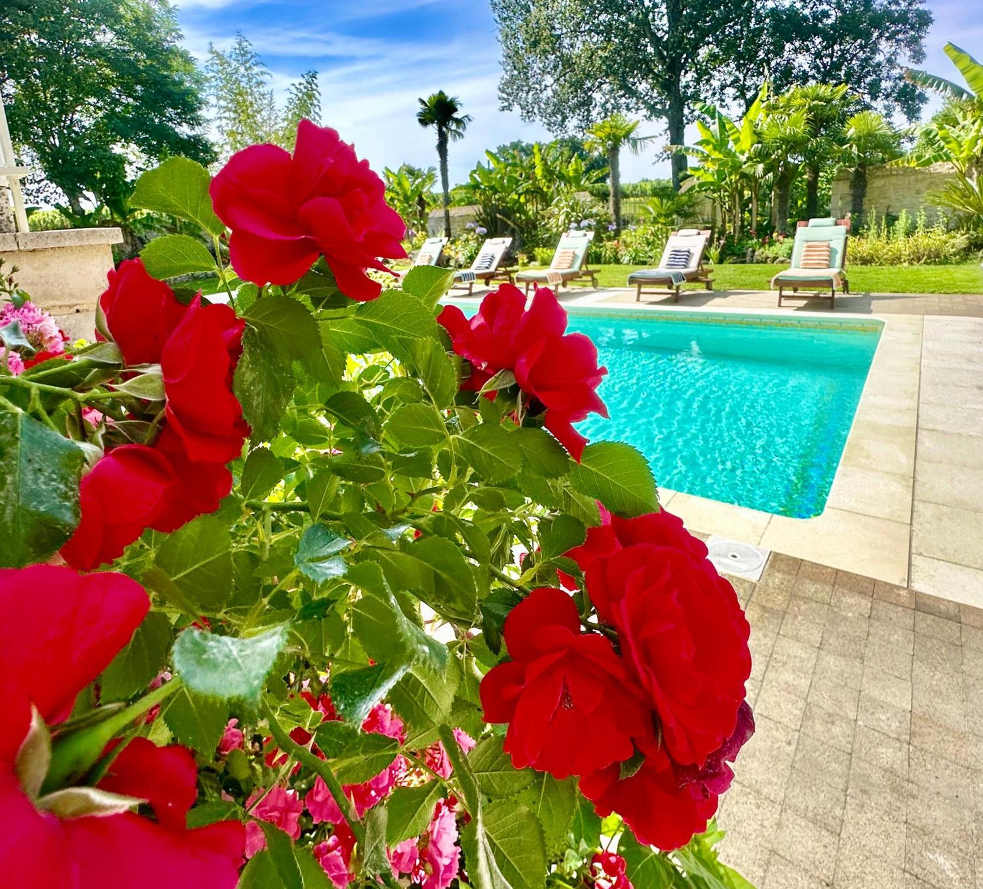 Chateau De Lafont Suites Saint-Vivien  外观 照片