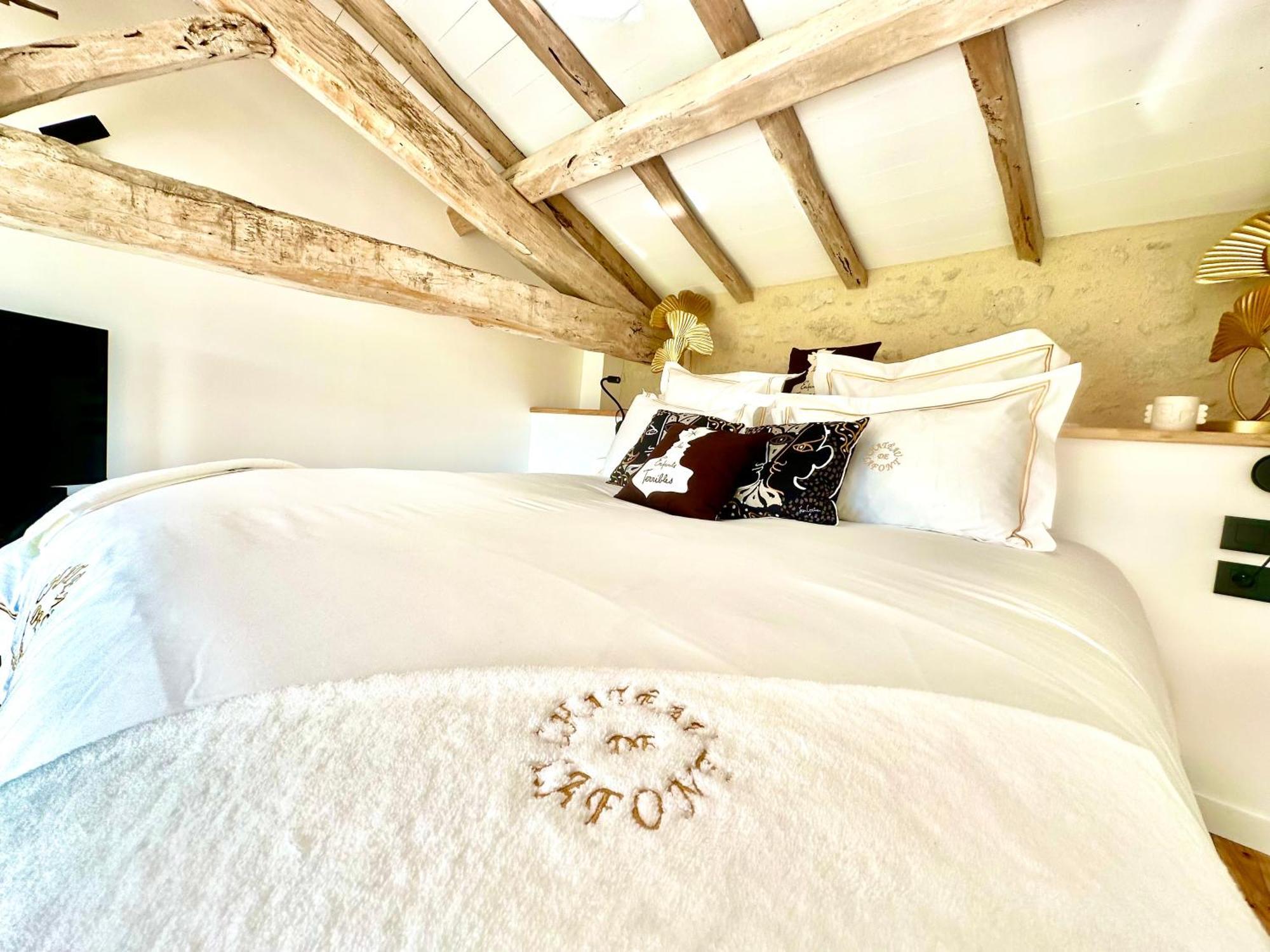 Chateau De Lafont Suites Saint-Vivien  外观 照片